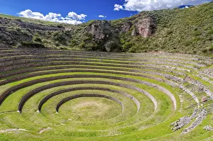 Drucke von Moräne-Aal in Peru E Drucke: Moräne-Aal in Peru