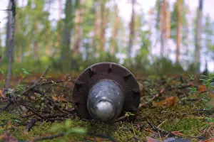 Uninhabited Countryside Scenery Drucke: Mortar shell found in the woods