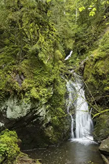 Moss Grown Rocks And Waterfalls Drucke: Moss-covered rocks and waterfall