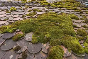 Deserted German Federal Republic Drucke: Mossy roof of an old baking oven