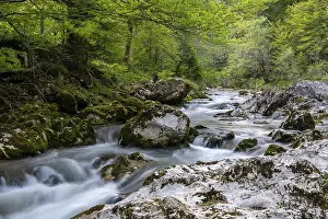 Drucke von Bach des Mostnica-Gebirges, Schlucht von Mostnica, Voje-Tal, Triglav-Nationalpark, Slowenien Slowenien Drucke: Bach des Mostnica-Gebirges, Schlucht der Mostnica