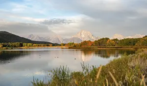 Mountain Range Reflections Drucke: Mount Moran reflected in Snake River