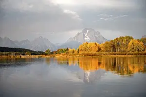 Autumn Morning Scene Drucke: Mount Moran reflected in Snake River