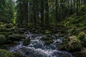 Deserted Countryside Photography Drucke: Mountain and forest small river