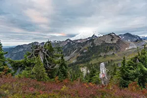 Drucke von Berglandschaft im Herbst, Blick auf den Mt. Baker mit Schnee und Gletscher, Nationalforst Mount Baker-Snoqualmie, Washington, USA Washington Drucke: Berglandschaft im Herbst, Blick auf den Mt.