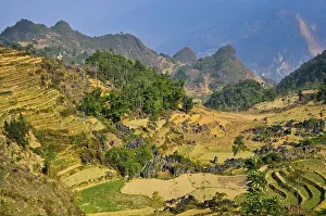 Mountainous Agricultural Land Drucke: Mountain landscape with rice fields