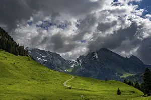 Mountain Meadow Switzerland Drucke: Mountain meadow with path and Altmann summit in the background