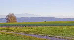 Mountain Panorama View Drucke: The mountain names were assigned with the best of our knowledge