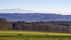 Swiss Mountain Peaks Drucke: The mountain names were assigned with the best of our knowledge