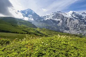 Bernese Oberland Landscape Drucke: Mountain panorama with peaks Eiger