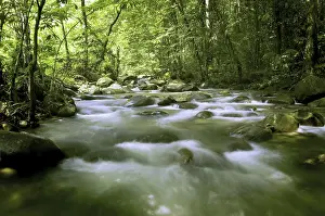Mountain Torrent Photography Drucke: Mountain river