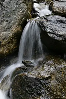 Wild River Waterfall Drucke: Mountain stream