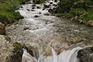 Open Air Waterfall Scene Drucke: Mountain stream