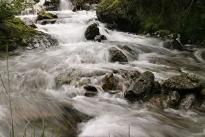 Mountain Creek Drucke: Mountain stream