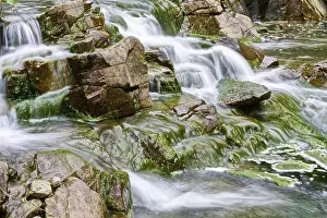Wild River Photography Drucke: Mountain stream
