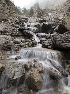 Deserted Waterfront Scenery Drucke: Mountain stream