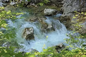 Wilderness Nature Photography Drucke: Mountain stream, flowing water