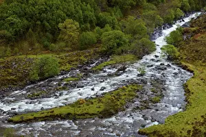 Northern Europe Waterways Drucke: Mountain stream in the highlands in spring