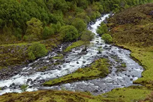 British Countryside Landscapes Drucke: Mountain stream in the highlands in spring