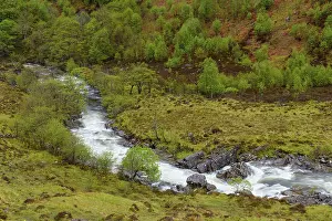 British Countryside Landscape Shot Drucke: Mountain stream in the highlands in spring