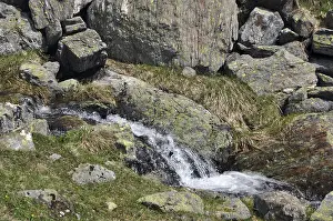 European Mountain Torrent Drucke: Mountain stream, stream, Austria