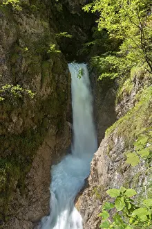 Mountain Creek Austria Drucke: Mountain stream with waterfall