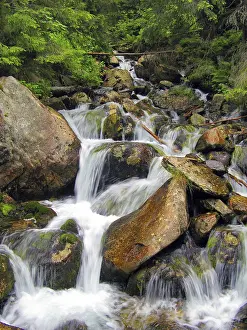 European Waterfalls Drucke: Mountain torrent