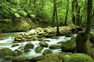Nature Abstract Photography Drucke: Mountain waterfall