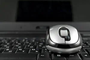 Studio Shot Of A Mouse Drucke: Mouse on a laptop keyboard