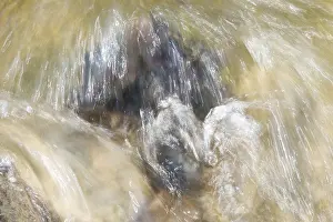 Elbe River Germany Drucke: Moving water flows over a boulder
