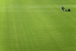 Agricultural Machine Drucke: Mowing grass
