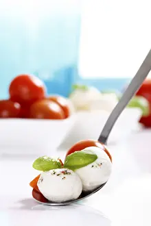 Indoor Plant Photography Drucke: Mozzarella balls with tomatoes and basil on a spoon