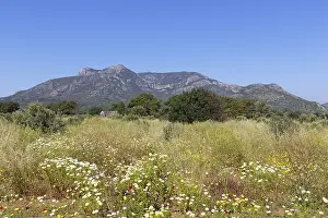 Aegean Region Turkey Drucke: Mt Emecik Dagi, Datca, Datca Peninsula