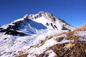Snowy Alps Europe Drucke: Mt. Mondscheinspitze, Karwendel Range