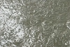 River Bank Scene Drucke: Mud