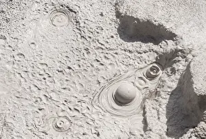 New Zealand Volcanic Area Drucke: Mud pool, bubbling mud pot, hot spring