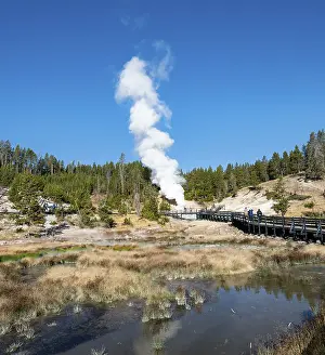 Geothermal Power USA Drucke: Mud Volcano, steaming thermal spring in the back