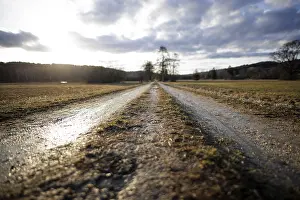 European Lake Views Drucke: A muddy path leads into the distance