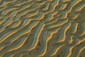 Evening Atmosphere Nature Reserve Drucke: Mudflats in evening light, beach