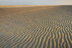 North Frisia Landscape Drucke: Mudflats in evening light, structure in sandy beach at low tide