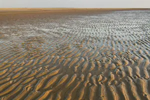 North Frisia Landscape Drucke: Mudflats in evening light, structure in sandy beach at low tide