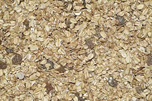 Cereal Product Image Drucke: Muesli