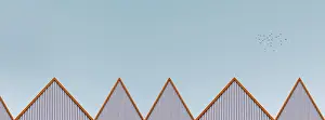 Bird Photography Outdoors Drucke: Multi-colored facades of the school with black window frames