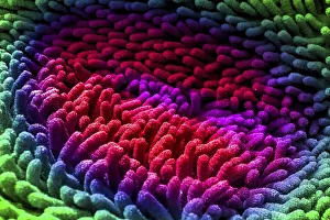 Close Up View Drucke: Multicolored fabric close up view
