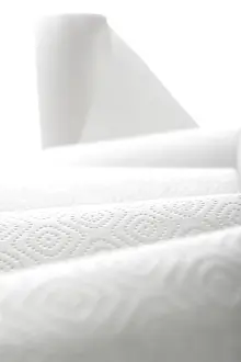 Kitchen Utensil Drucke: Multiple rolls of paper towel, kitchen rolls