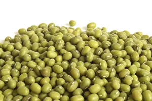Deserted Garden Background Drucke: Mung beans, for backgrounds or textures