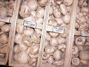 Market Vegetables Drucke: Mushrooms