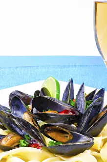Muschel Drucke: Mussels