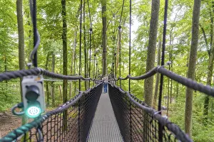 Lake Constance Tourist Attraction Drucke: Narrow treetop path between trees in the forest