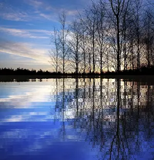 Nature Background Images Drucke: Nature background